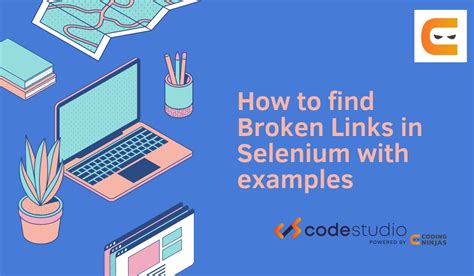 Broken Links In Selenium Code
