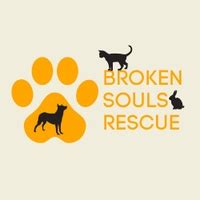 broken souls rescue and recovery