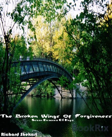 Broken Wings with Forgiveness Symbol