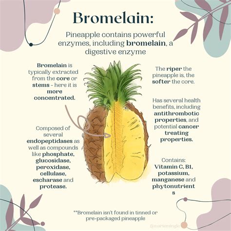 Bromelain In Dried Pineapple