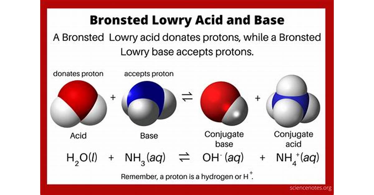 bronsted lowry acid