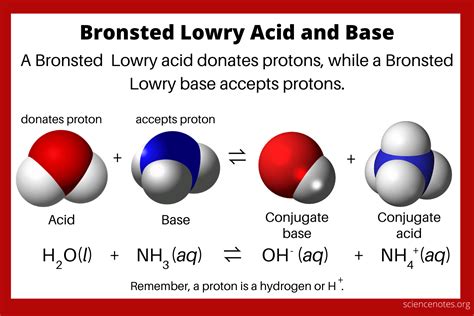 Bronsted Lowry acid reaction