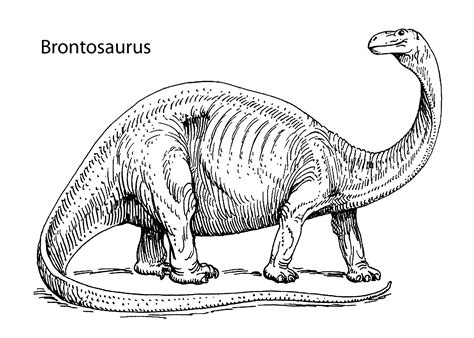 Dinosaur Stegosaurus For Preschoolers Coloring Pages Printable