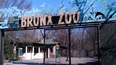 bronx zoo hours saturday
