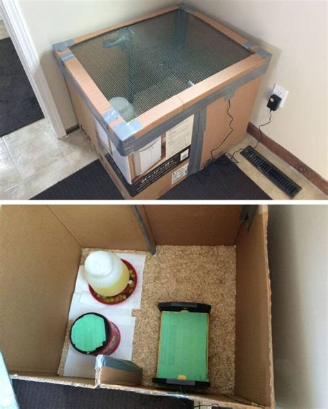 Brooder Box For Chicks Diy