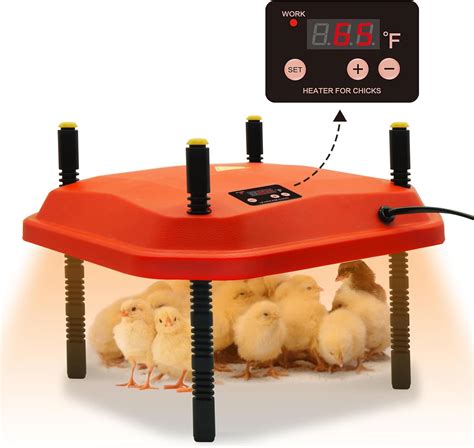 Brooder Plate Temperature