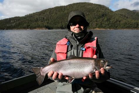 Brook Trout Tasmania