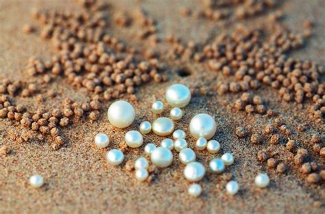 broome australia pearls