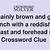brown gray finch crossword clue