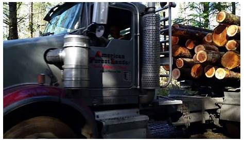 WASHINGTON TIMBER COMPANY Kenworth Logging Truck Hauling Logs to Mill