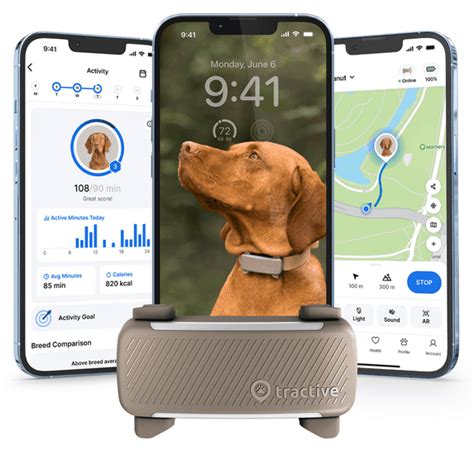 brown dog gps