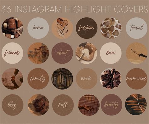 Brown Highlight Cover