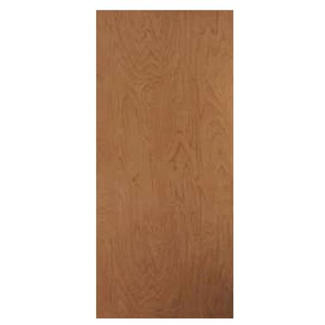 Brown Slab Door