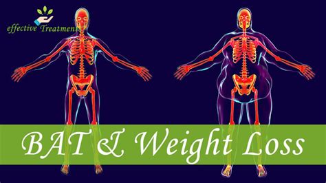 brown adipose tissue weight loss