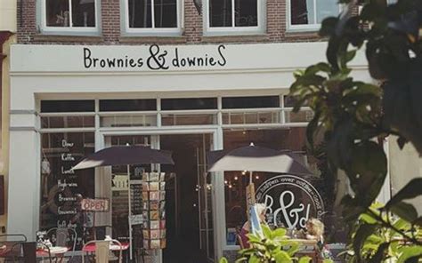 brownies en downies weert