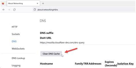 ブラウザキャッシュ削除とDNS設定の修正イメージ