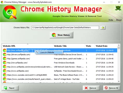 Browser History Manager