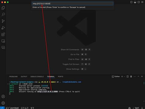 browser window vscode