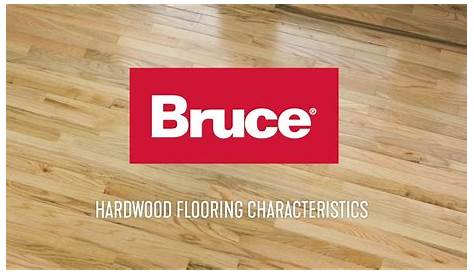 Bruce Hardwood Repair Kit