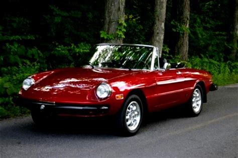 brugte alfa romeo spider