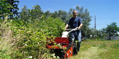 Brush Clearing By Hand