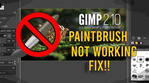 Brush In Gimp Not Working