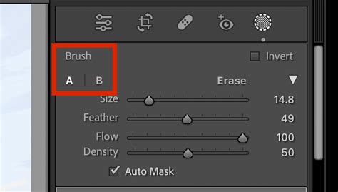Brush Settings in Lightroom