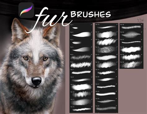 Brushes Procreate Fur