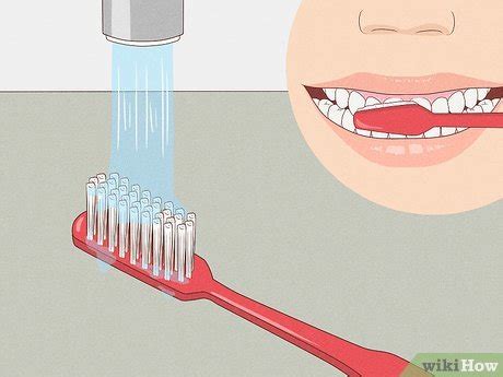 Brushing Teeth Without Toothpaste Research