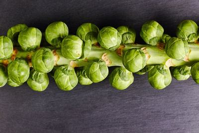 poisonous brussel sprouts
