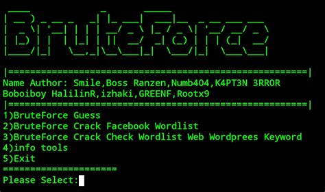 Brute Force Github