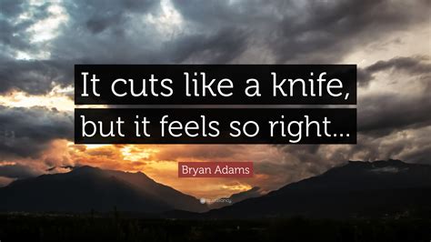 bryan adams cuts like a knife meme