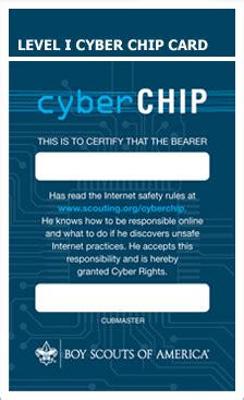 bsa cyber chip blue card