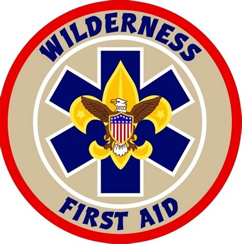 Bsa Wilderness First Aid Patch