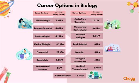 bsc biology career options