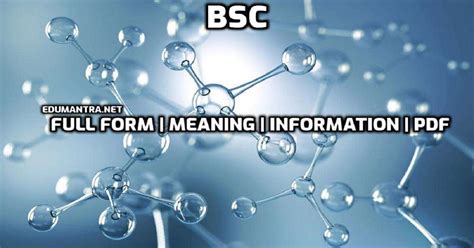 bsc full meaning degree