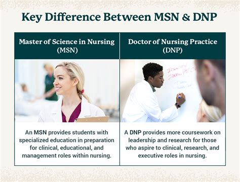 bsn to msn nursing programs requirements