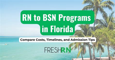 5 Ways BSN to MSN Florida