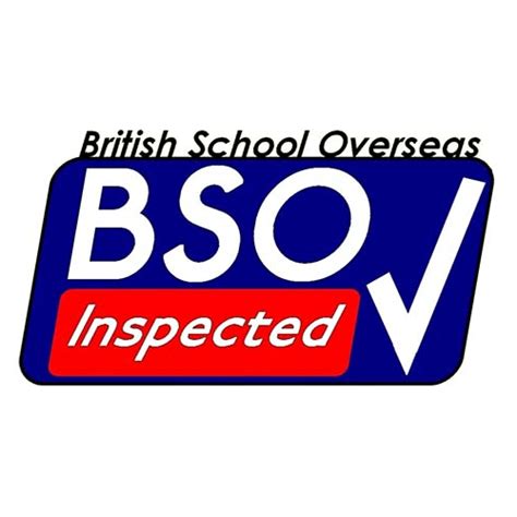 Unlock Exciting BSO Careers: Explore Opportunities and Growth Paths