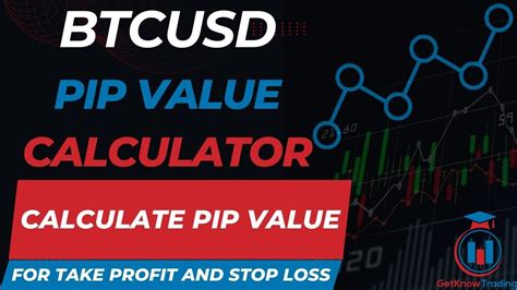 btcusd pip profit calculator