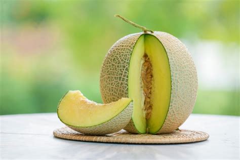 buah melon manfaatnya