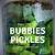 bubbies pickles recipe