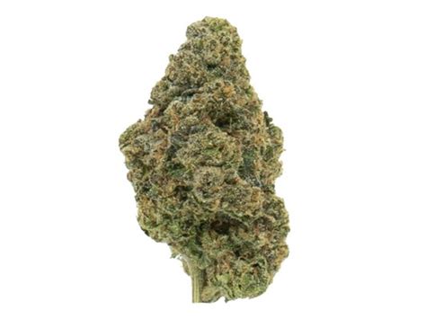 Bubble Bath Genetics