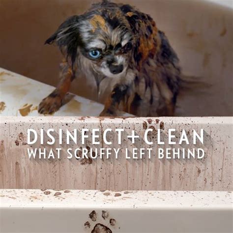 Bubbles Bad For Dogs