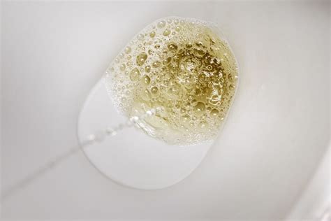 Bubbles In Pee Uti