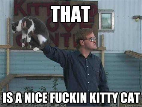 Bubbles Kitty Memes