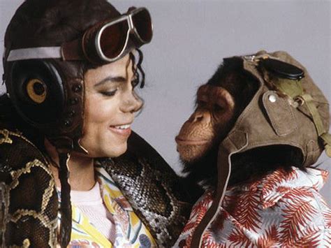 Bubbles Monkey Death