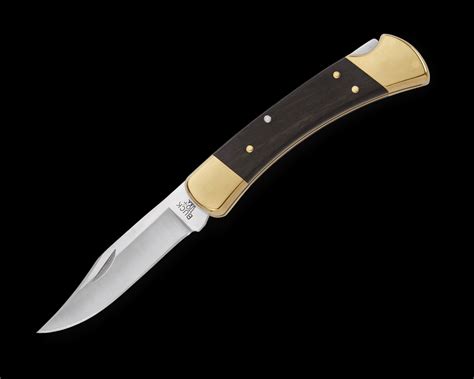 Buck Hunter Folding Knife