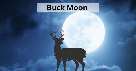 buck moon 2023 date and time