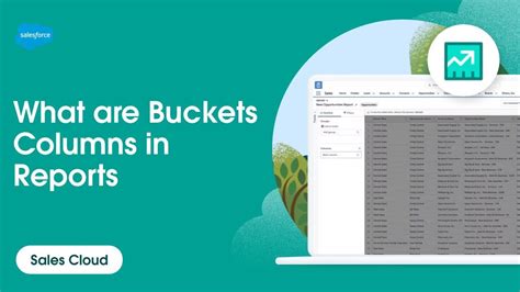 Bucket Dates In Salesforce Report